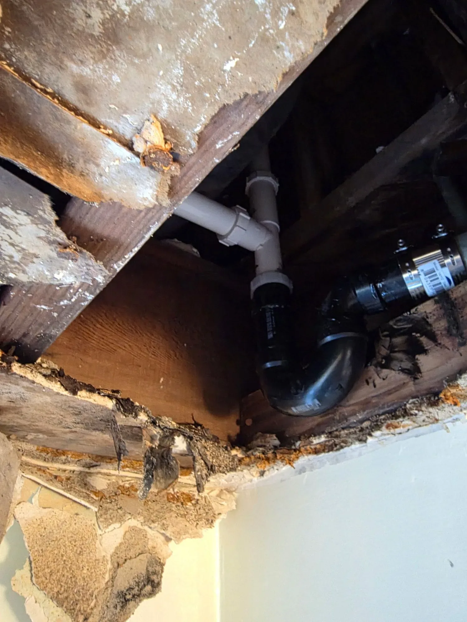New white and black drain pipe connections exposed through an opened ceiling
